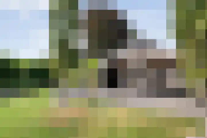 Hoofdweg 69 De Krim thumbnail 54