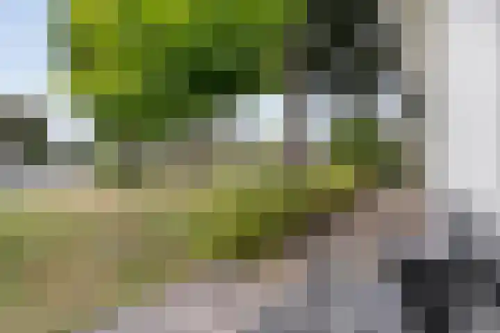 Hoofdweg 69 De Krim thumbnail 56