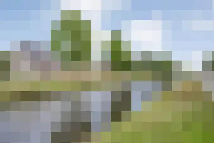 Hoofdweg 69 De Krim thumbnail 57