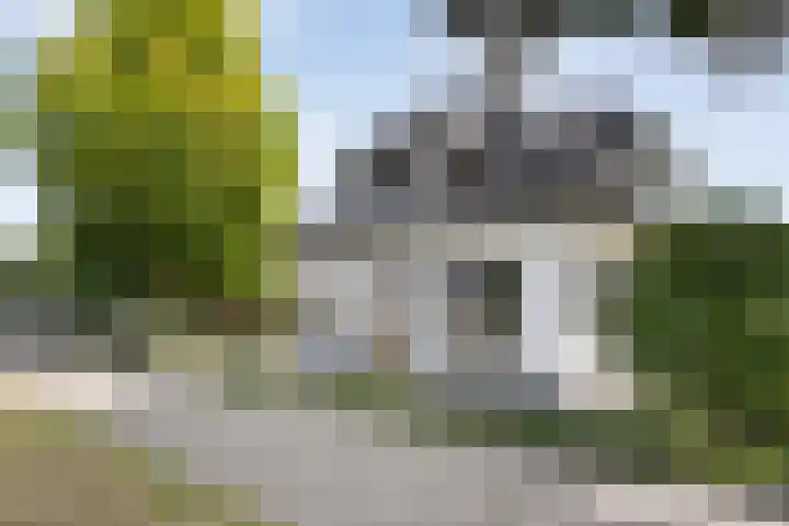 Hoofdweg 69 De Krim thumbnail 59