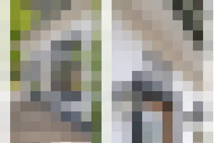 Hoofdweg 69 De Krim thumbnail 6