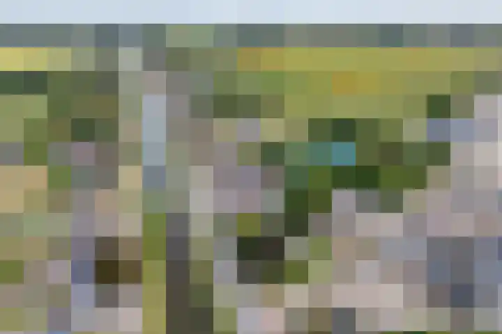 Hoofdweg 69 De Krim thumbnail 61