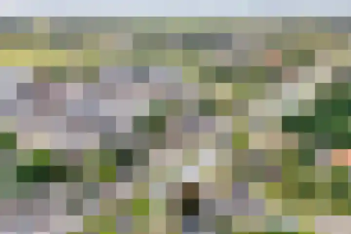 Hoofdweg 69 De Krim thumbnail 62