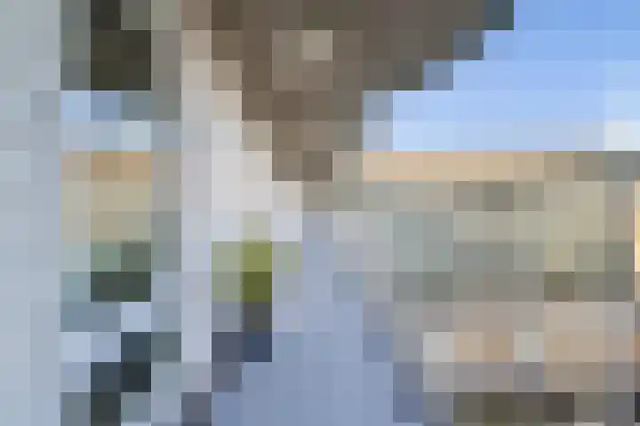 Hoofdweg 692 Amsterdam thumbnail 24
