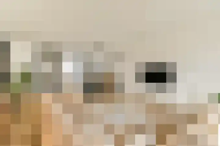 Hoofdweg 692 Amsterdam thumbnail 4