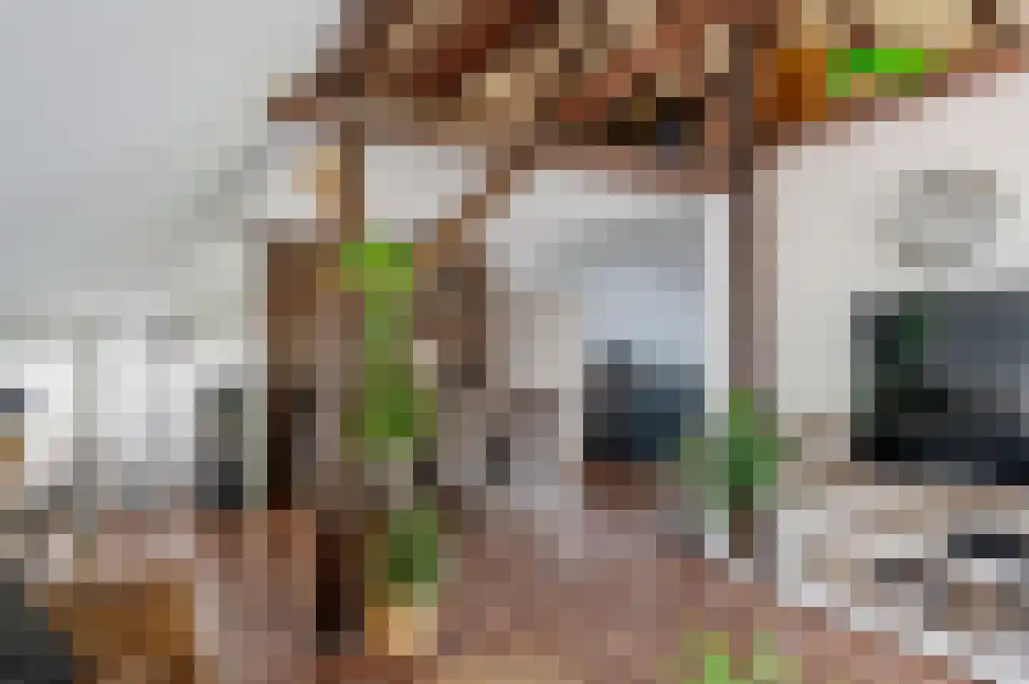 Hoofdweg 7 Midwolda thumbnail 13