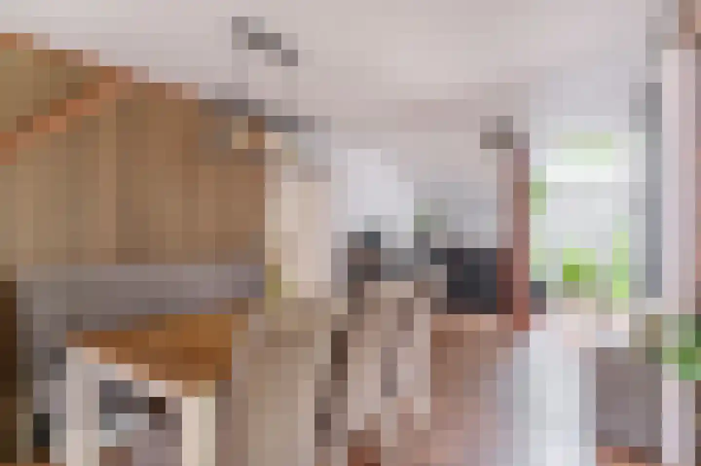 Hoofdweg 7 Midwolda thumbnail 14