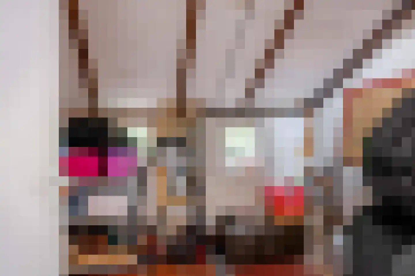 Hoofdweg 7 Midwolda thumbnail 26