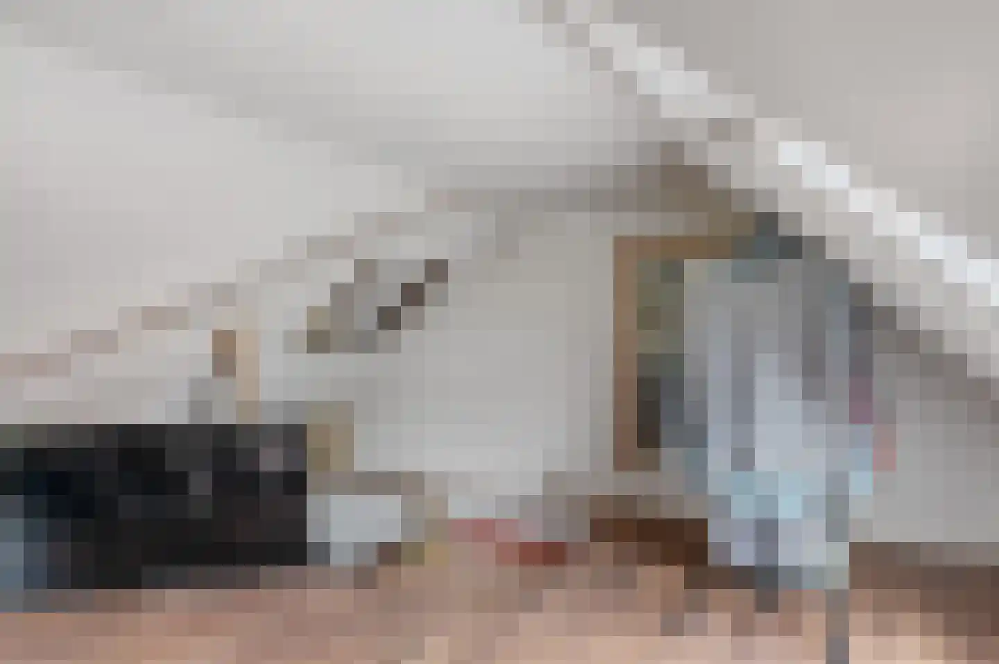 Hoofdweg 7 Midwolda thumbnail 28