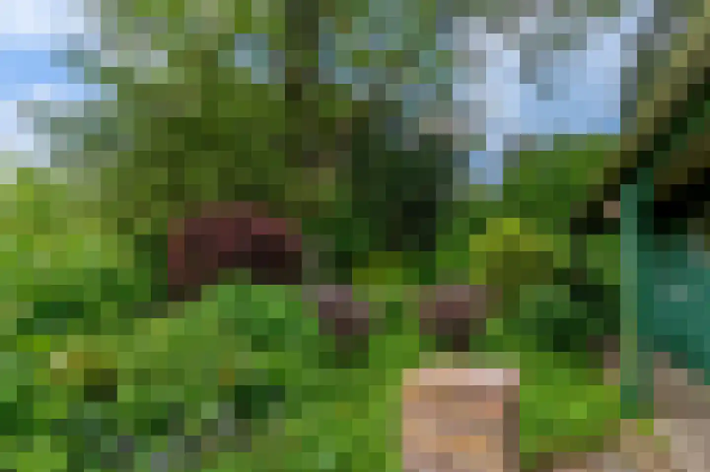 Hoofdweg 7 Midwolda thumbnail 39