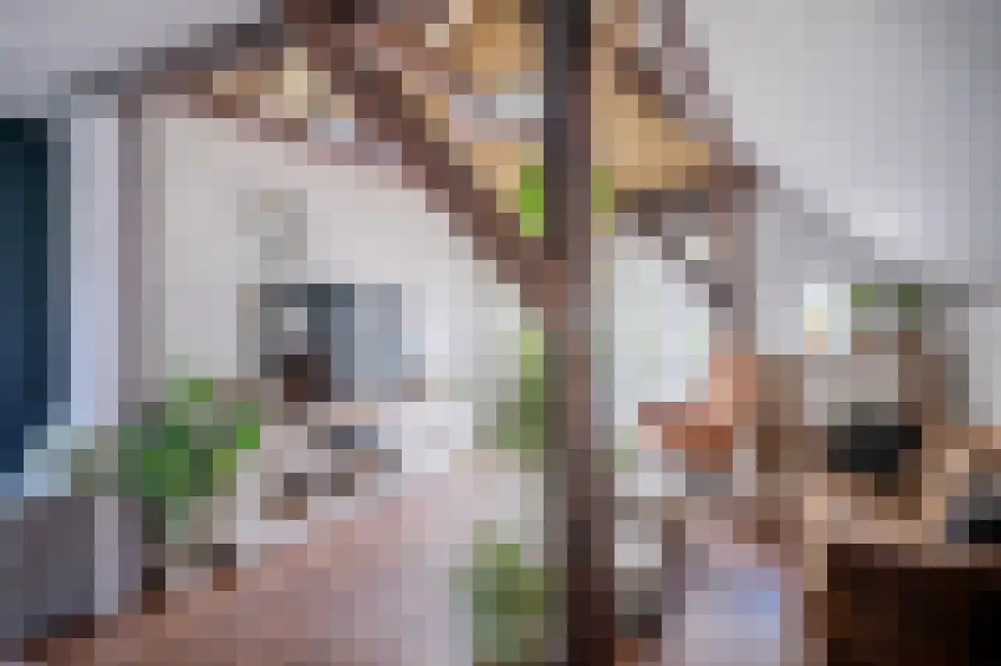 Hoofdweg 7 Midwolda thumbnail 9