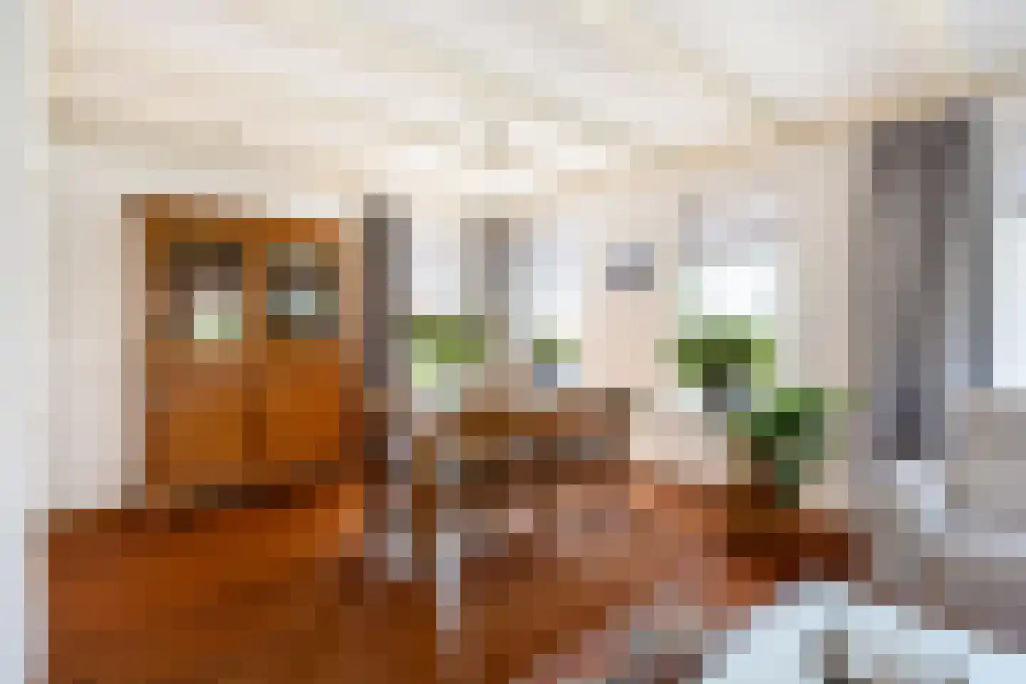 Hoofdweg 7 Siddeburen thumbnail 13