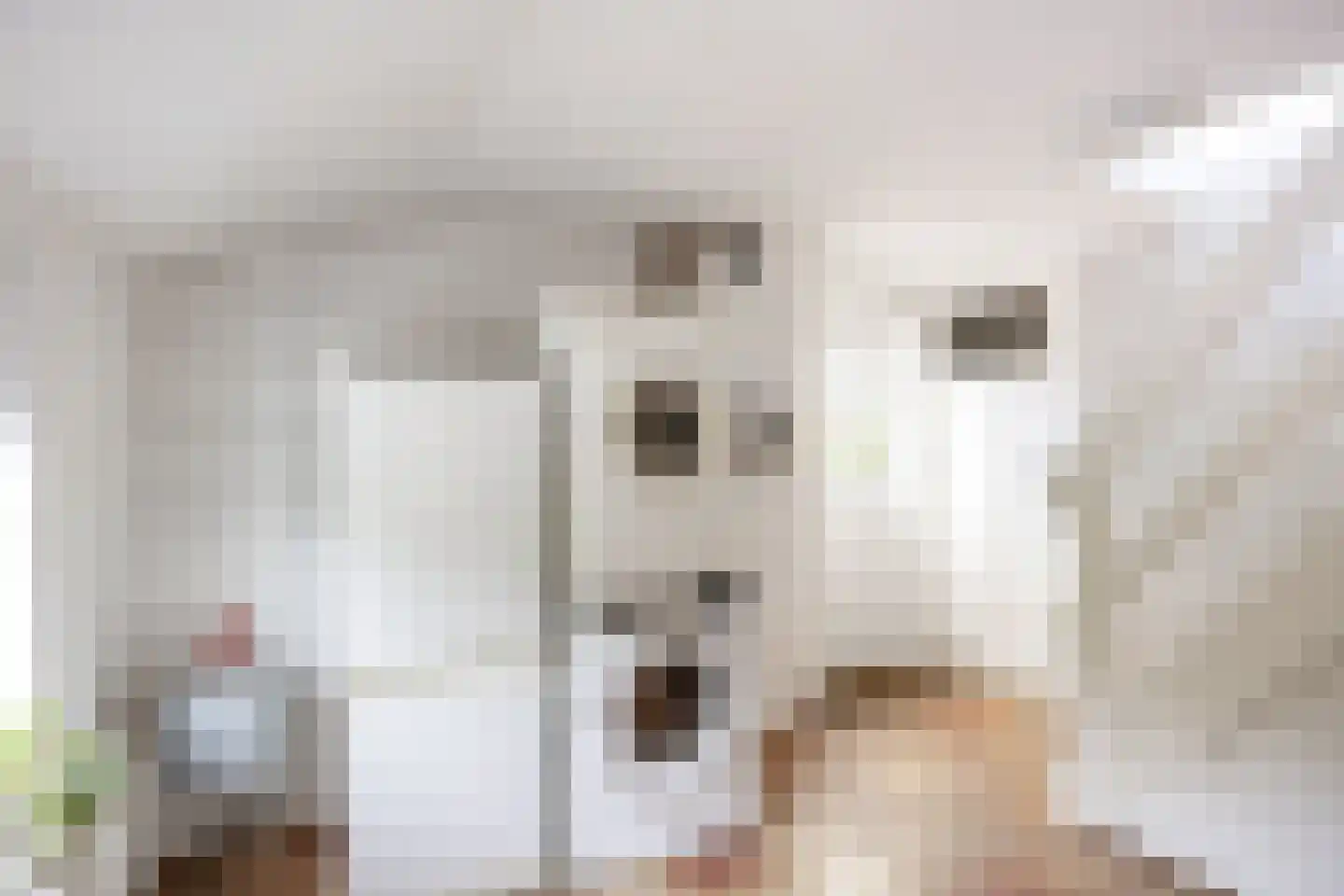 Hoofdweg 7 Siddeburen thumbnail 19