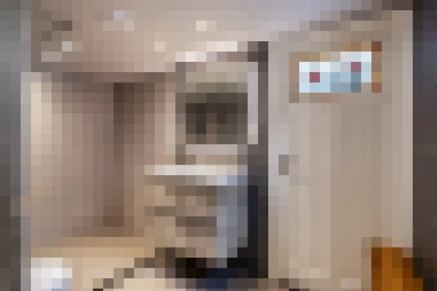 Hoofdweg 7 Siddeburen thumbnail 20