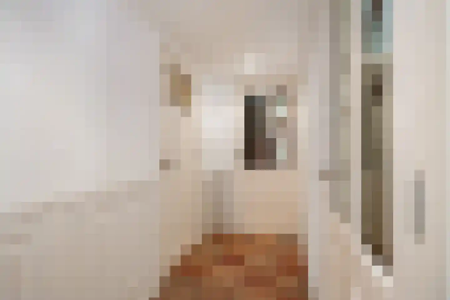 Hoofdweg 7 Siddeburen thumbnail 23