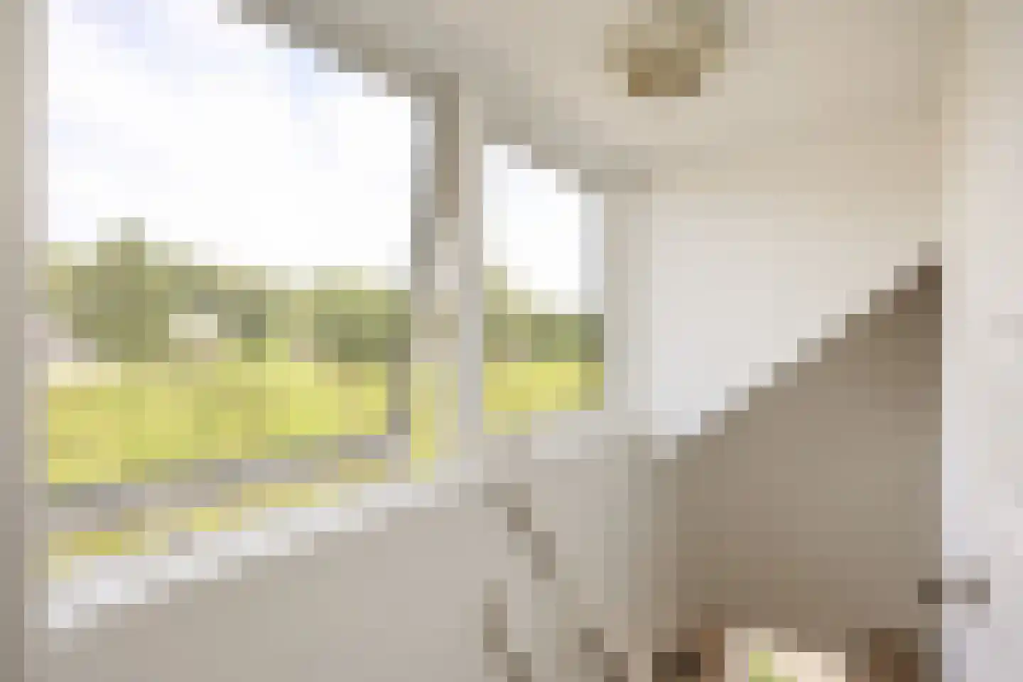 Hoofdweg 7 Siddeburen thumbnail 30