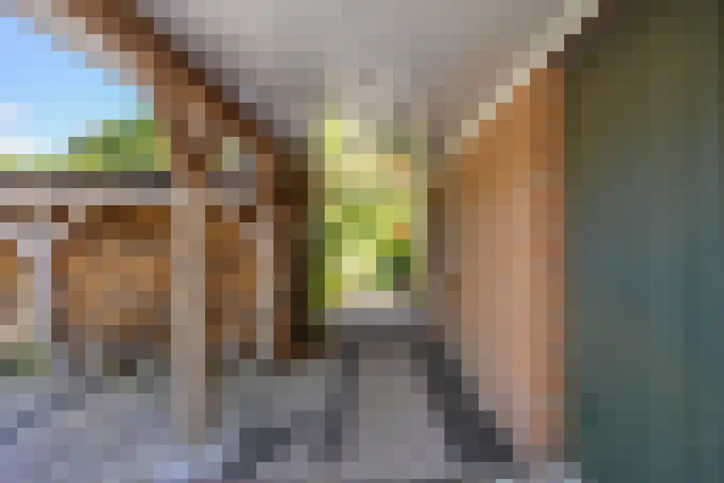 Hoofdweg 7 Siddeburen thumbnail 44