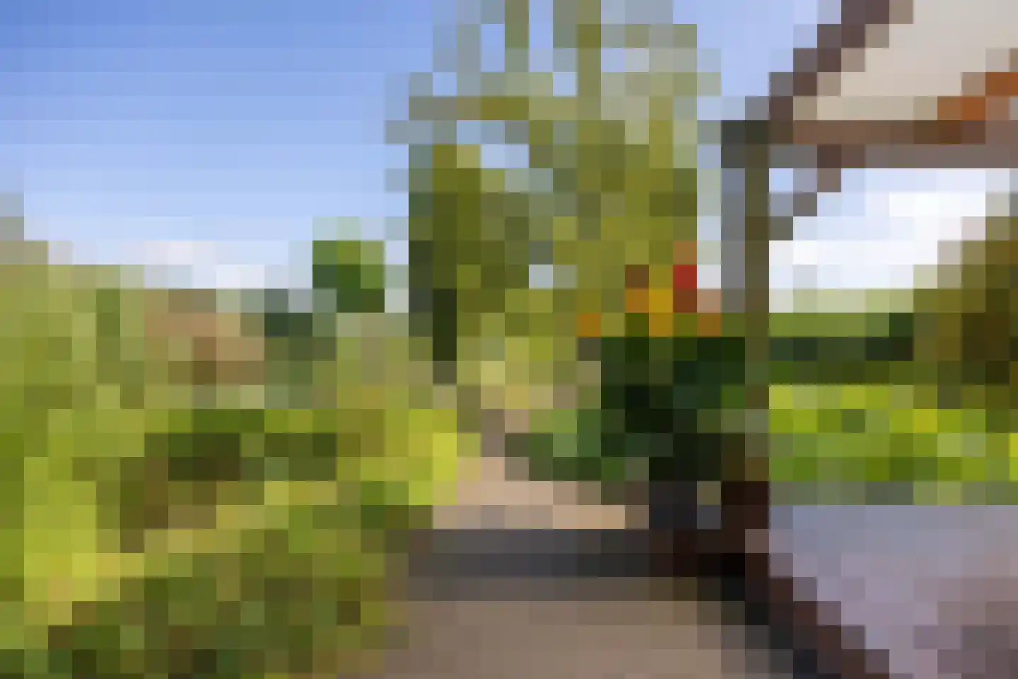 Hoofdweg 7 Siddeburen thumbnail 49
