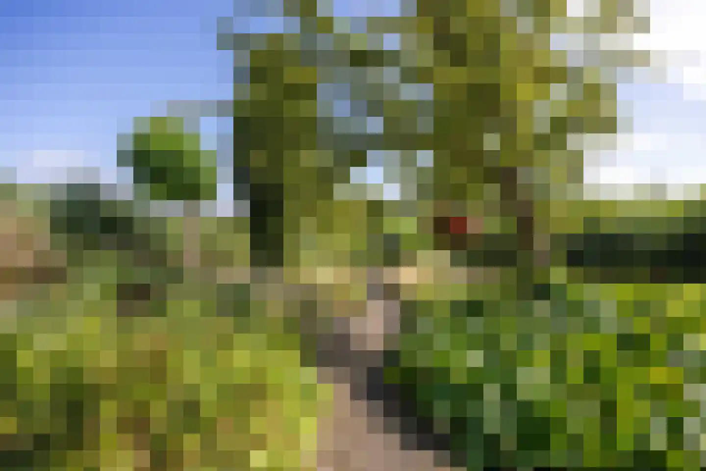 Hoofdweg 7 Siddeburen thumbnail 50