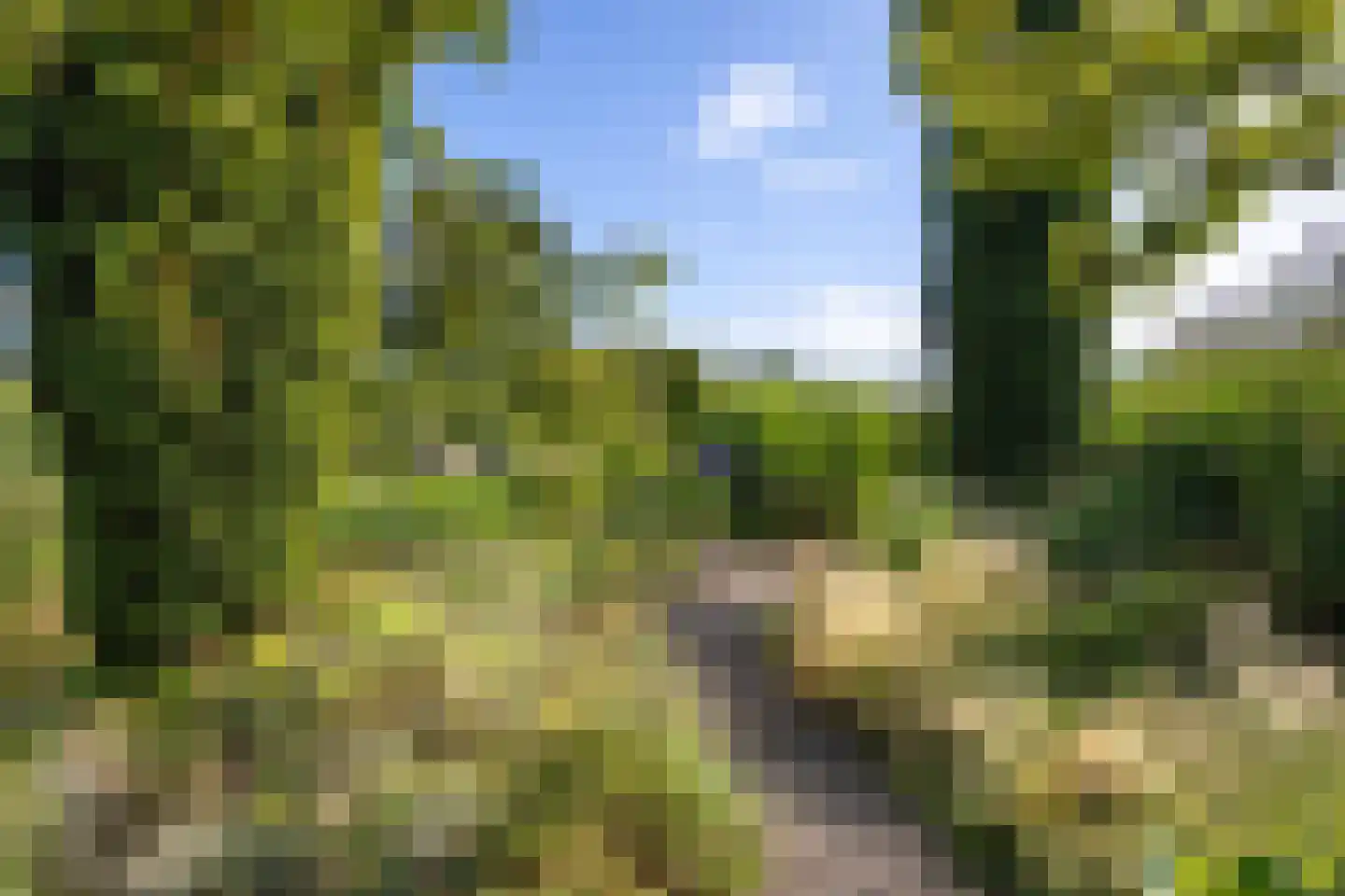 Hoofdweg 7 Siddeburen thumbnail 51