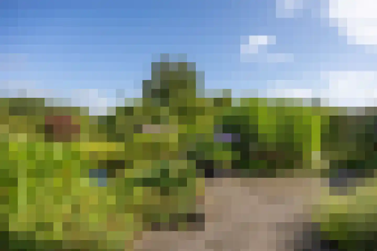 Hoofdweg 7 Siddeburen thumbnail 52