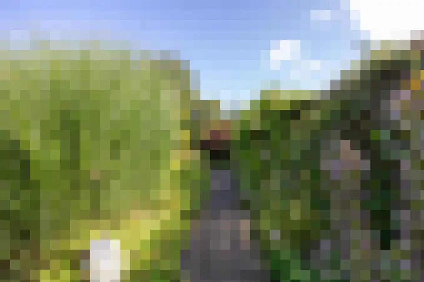Hoofdweg 7 Siddeburen thumbnail 53