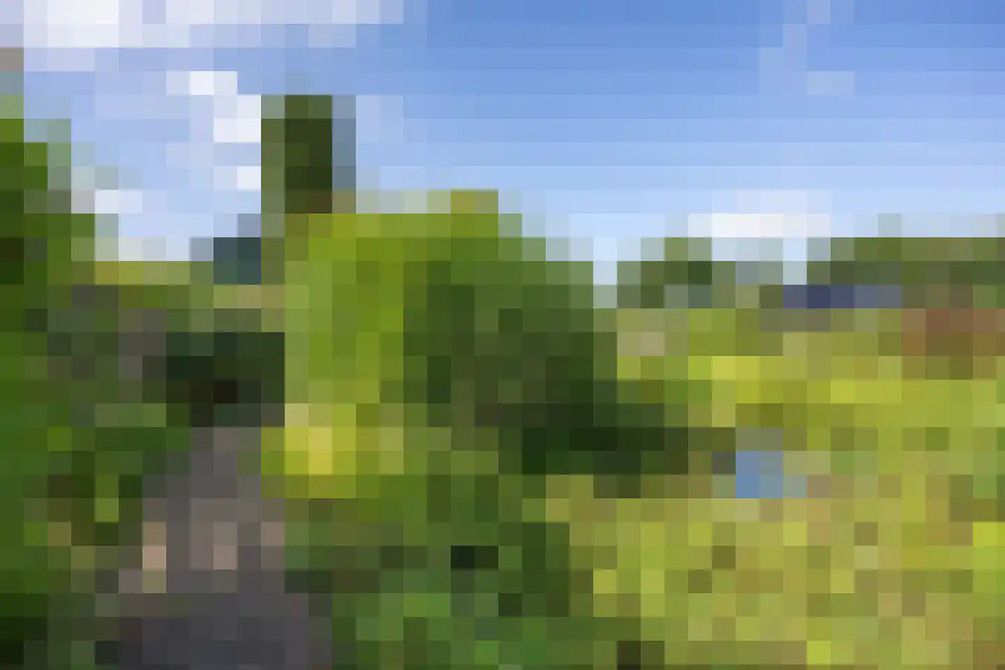 Hoofdweg 7 Siddeburen thumbnail 54