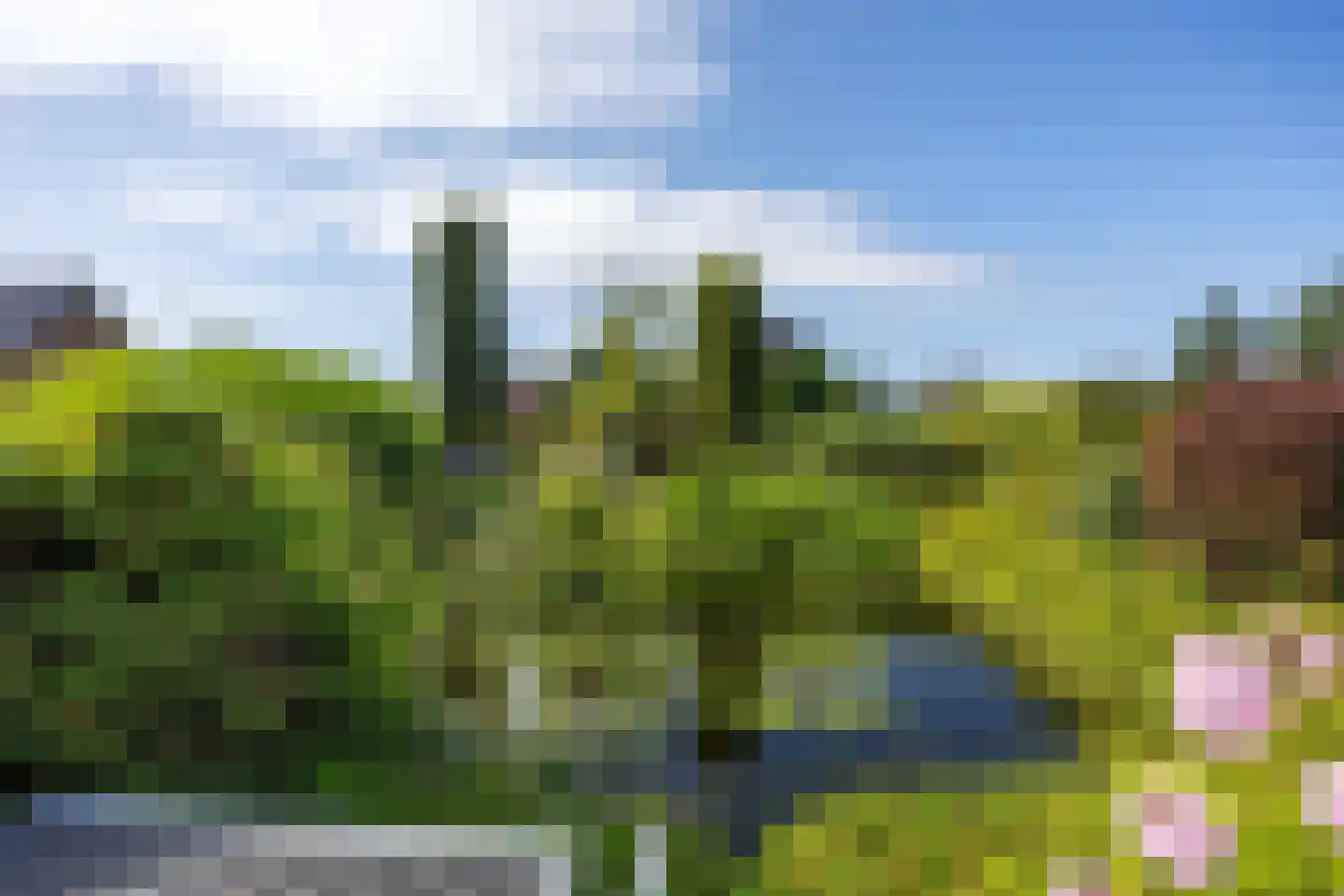 Hoofdweg 7 Siddeburen thumbnail 56