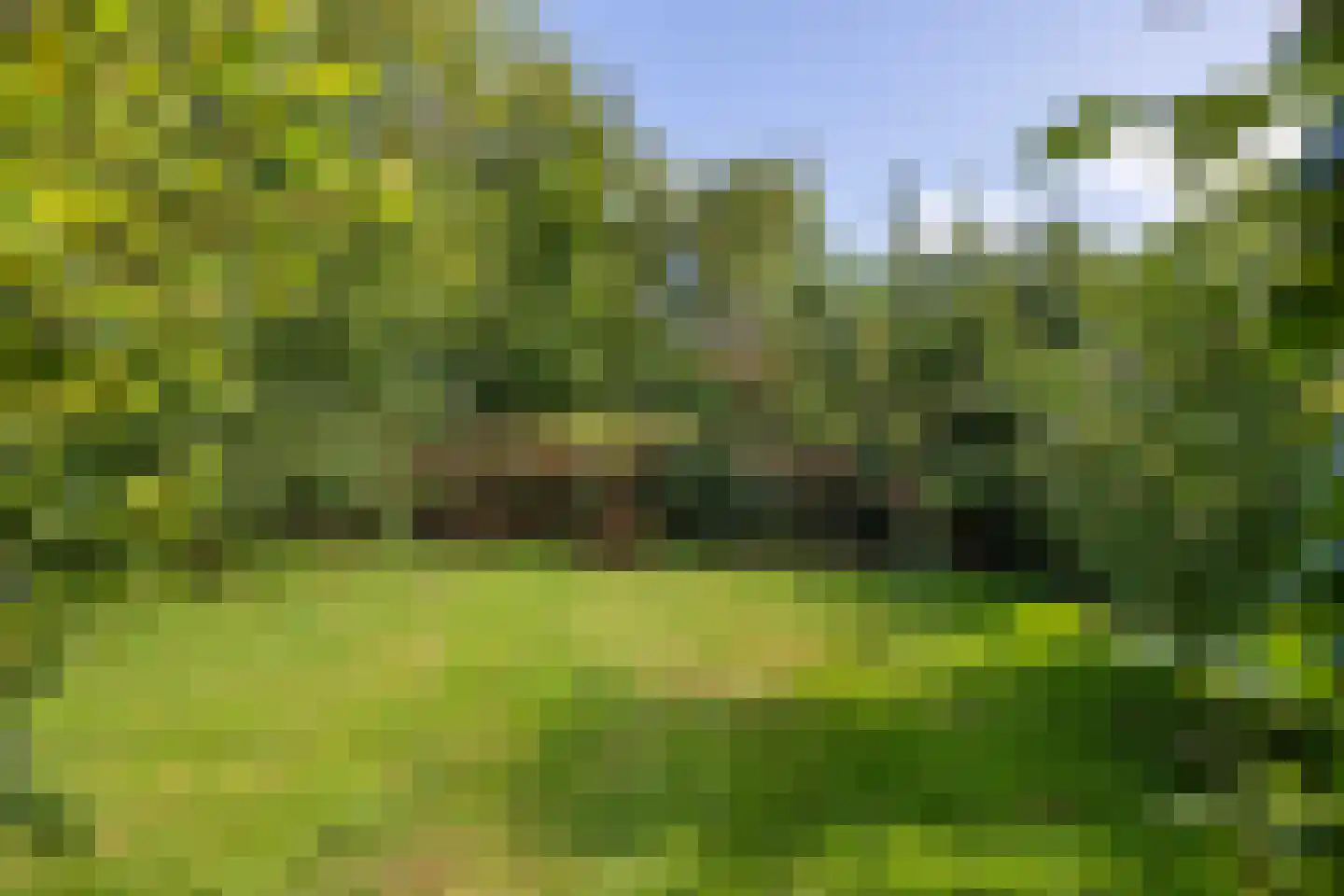 Hoofdweg 7 Siddeburen thumbnail 57