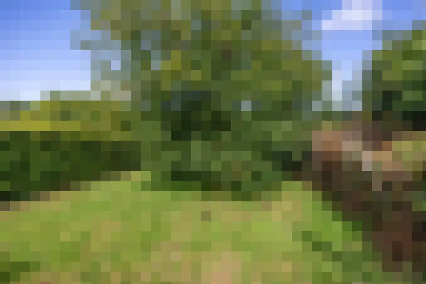 Hoofdweg 7 Siddeburen thumbnail 58