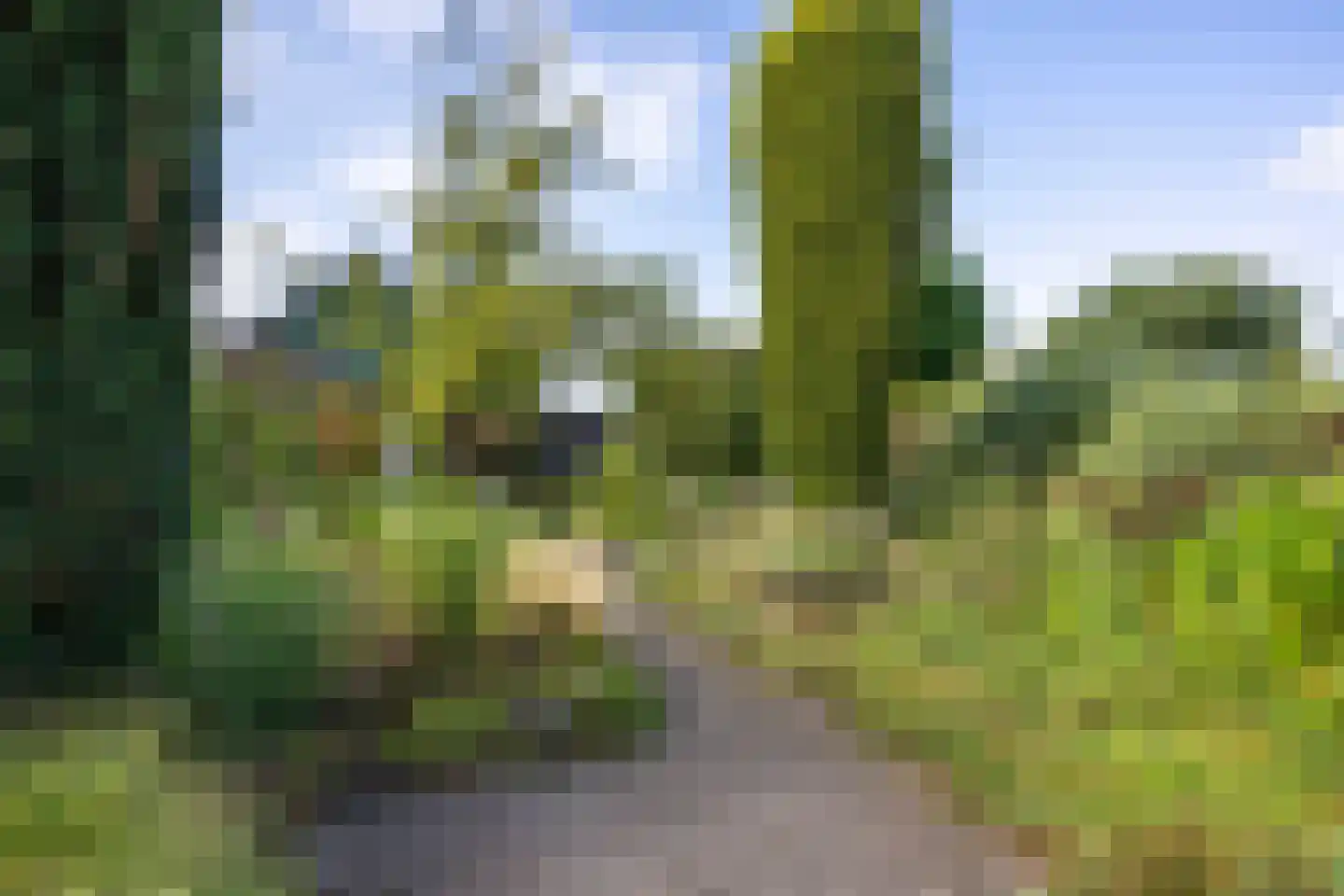 Hoofdweg 7 Siddeburen thumbnail 59