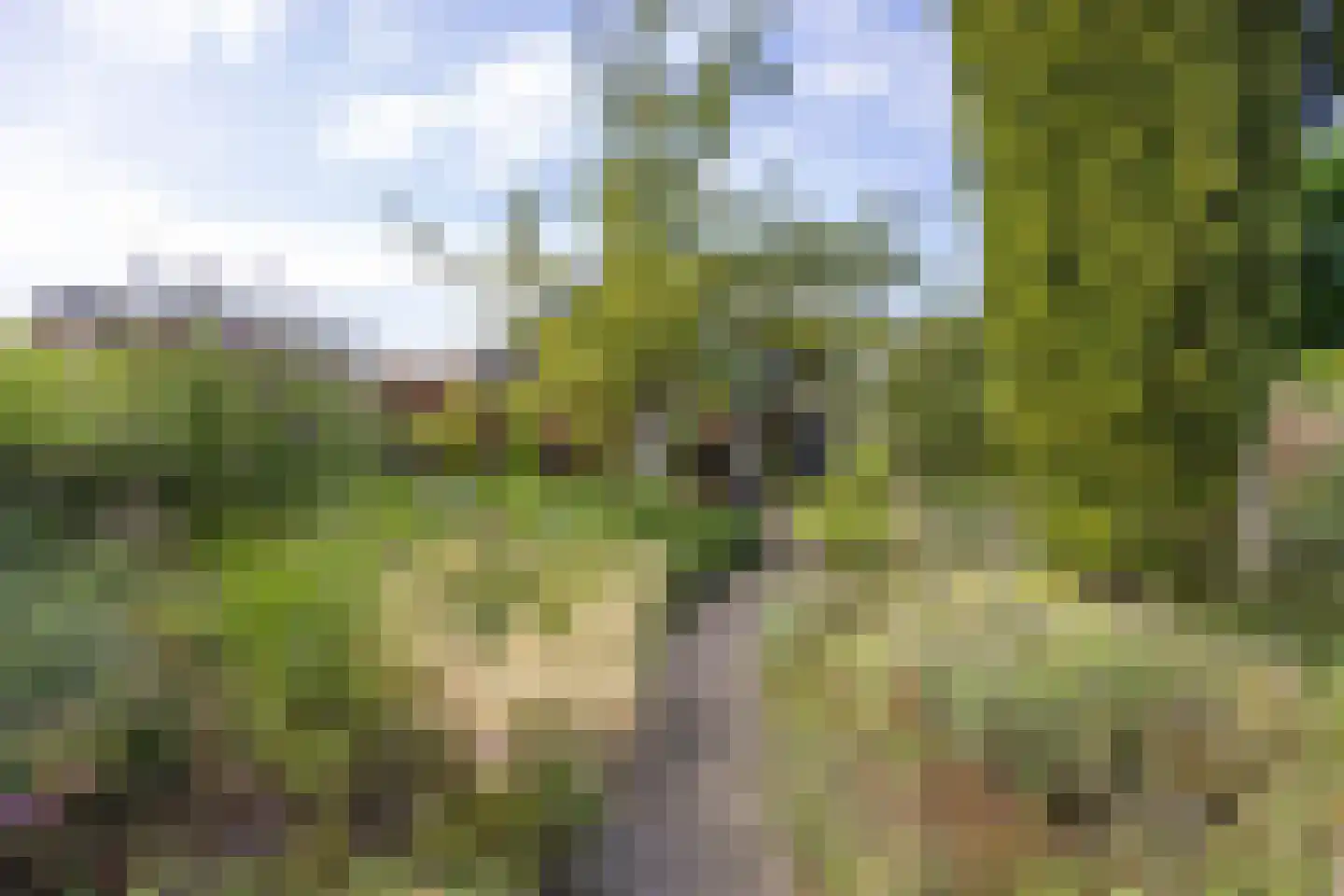 Hoofdweg 7 Siddeburen thumbnail 60