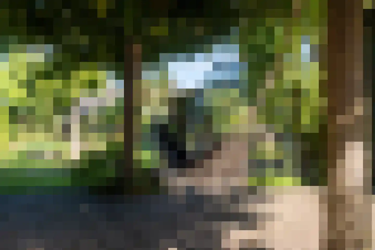 Hoofdweg 70 Klarenbeek thumbnail 46