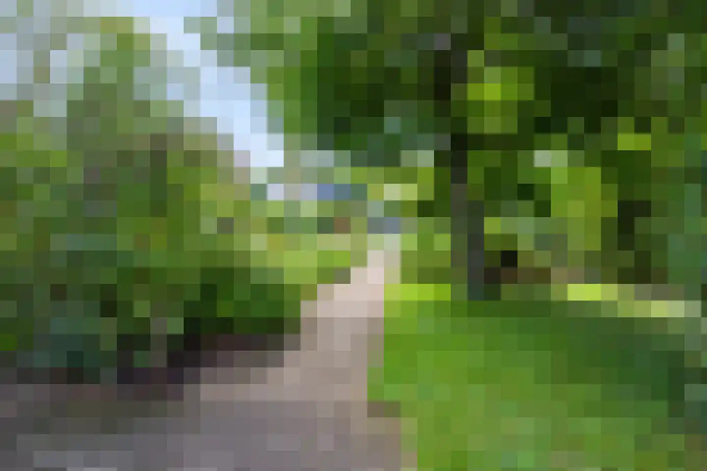 Hoofdweg 70 Klarenbeek thumbnail 53