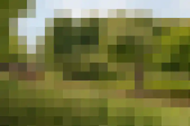 Hoofdweg 706 Amsterdam thumbnail 19