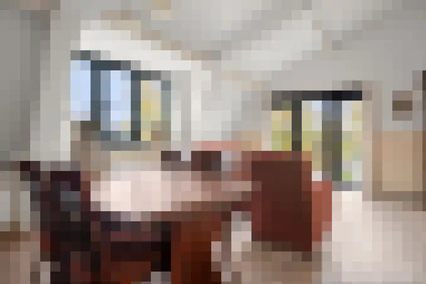 Hoofdweg 71 B Ederveen thumbnail 16