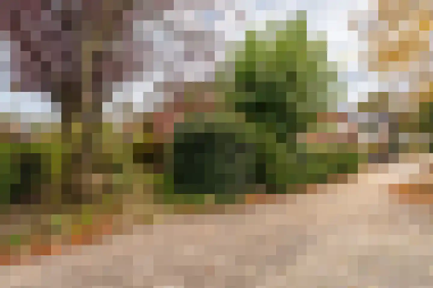Hoofdweg 72 Blijham thumbnail 10