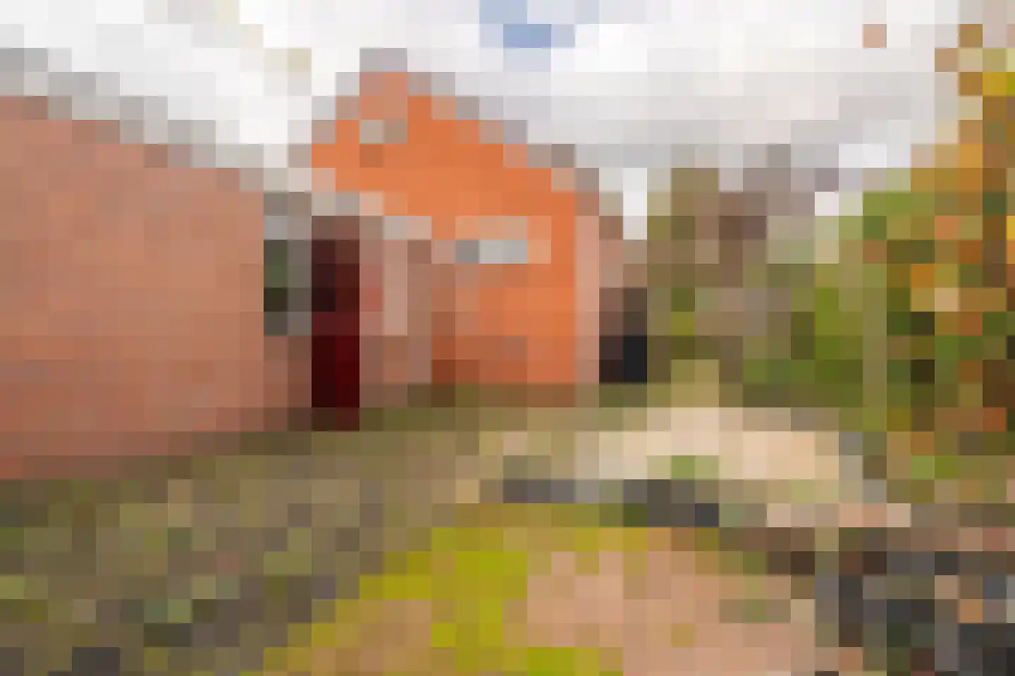 Hoofdweg 72 Blijham thumbnail 13