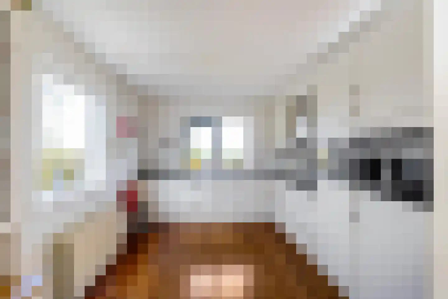 Hoofdweg 73 Tjuchem thumbnail 19
