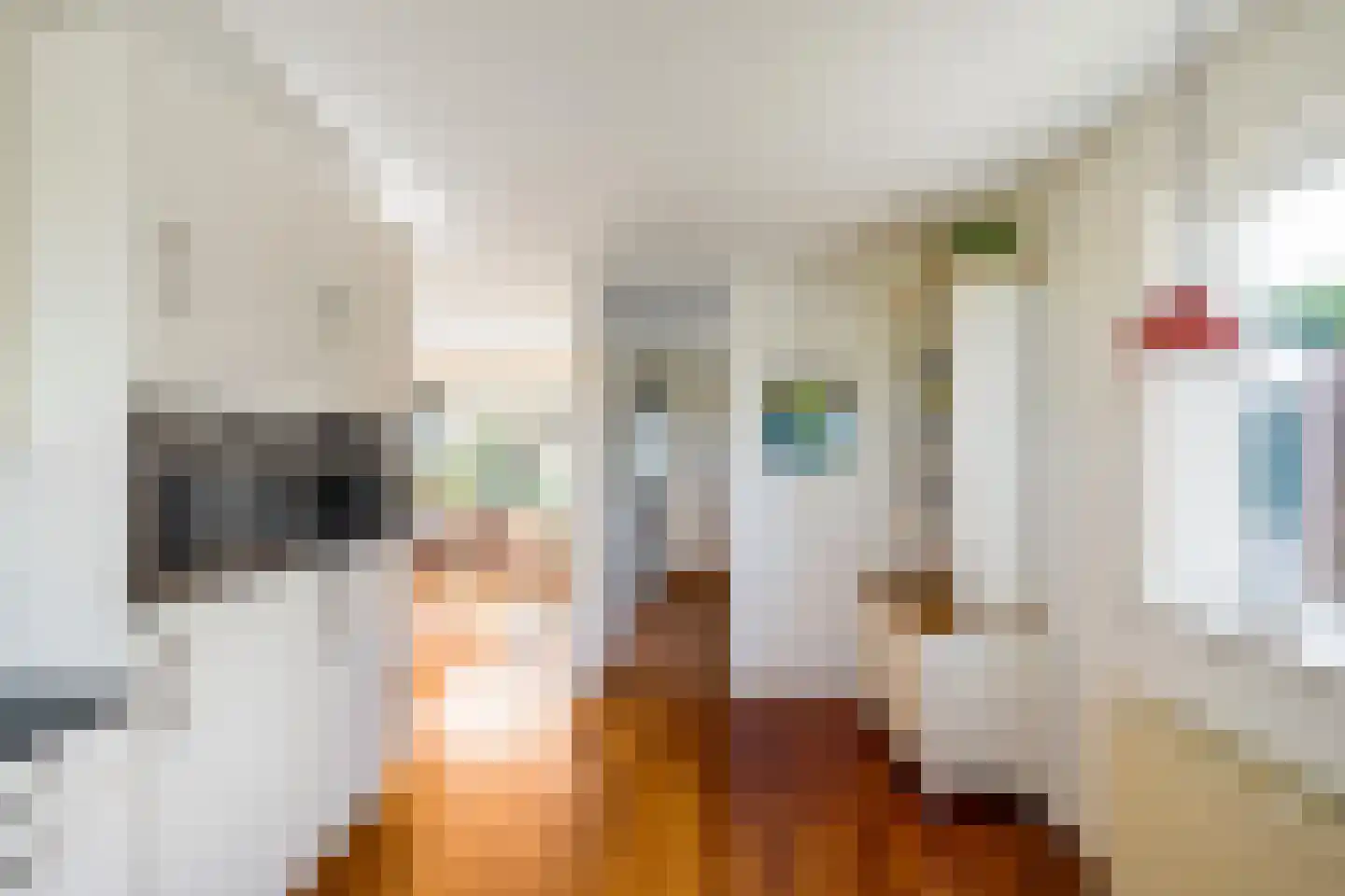 Hoofdweg 73 Tjuchem thumbnail 22