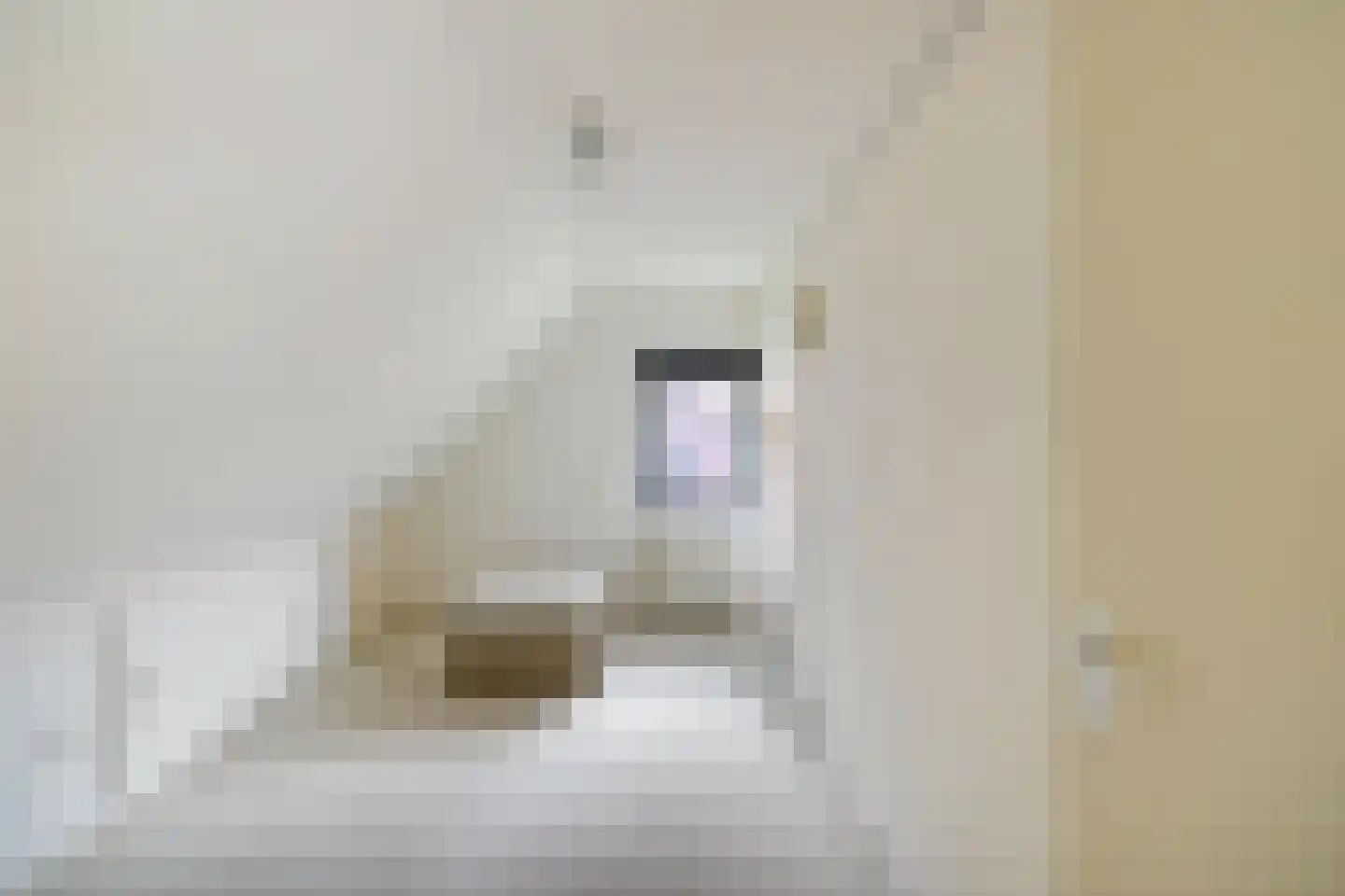 Hoofdweg 73 Tjuchem thumbnail 29
