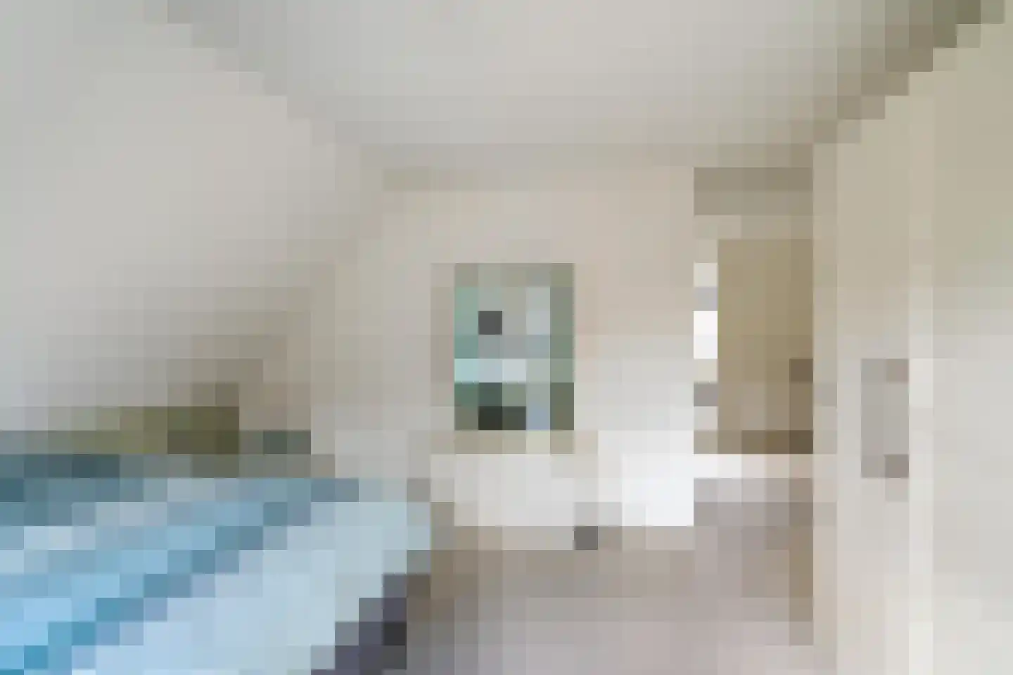 Hoofdweg 73 Tjuchem thumbnail 32