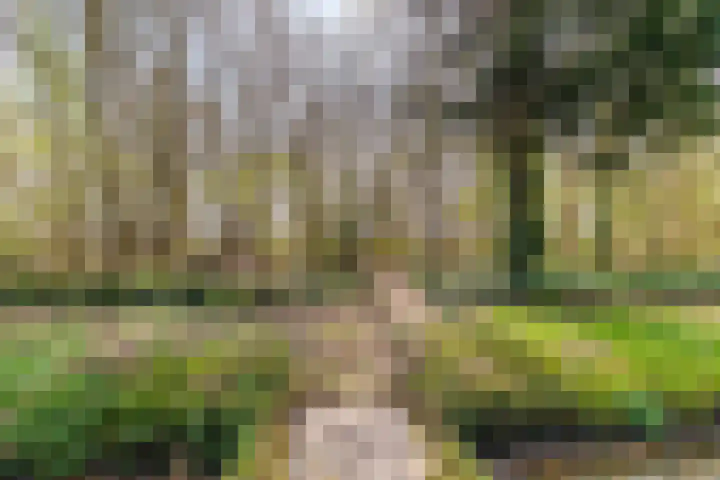 Hoofdweg 73 Tjuchem thumbnail 54