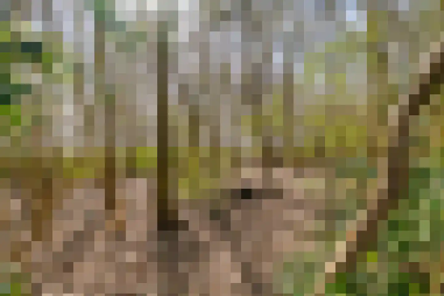 Hoofdweg 73 Tjuchem thumbnail 55
