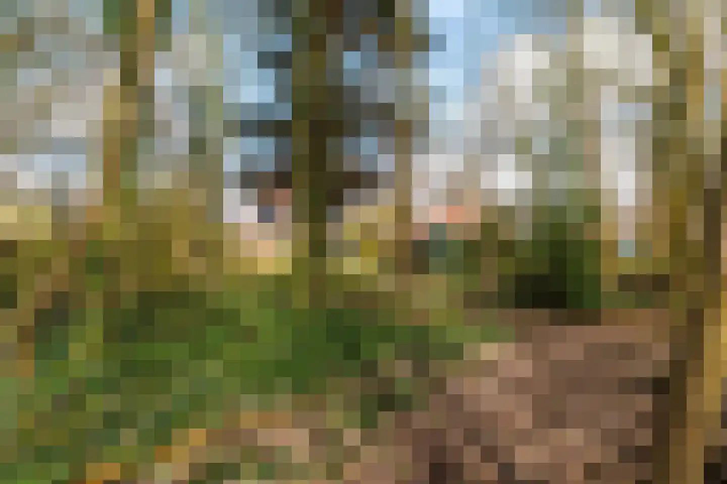 Hoofdweg 73 Tjuchem thumbnail 55
