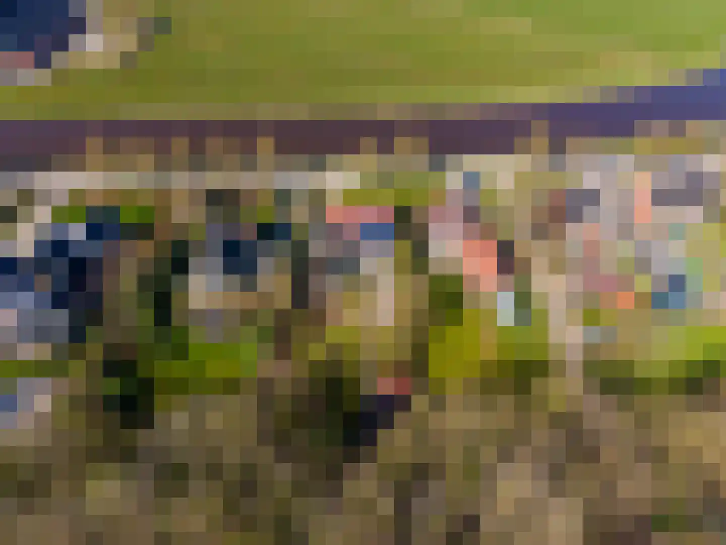 Hoofdweg 73 Tjuchem thumbnail 62