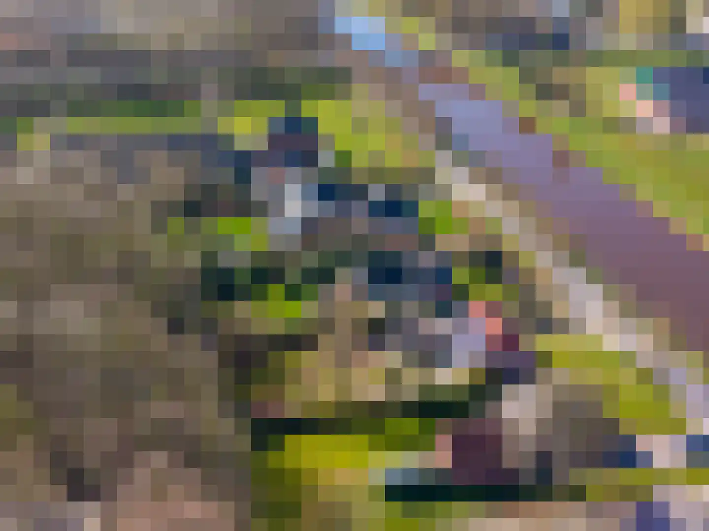 Hoofdweg 73 Tjuchem thumbnail 63