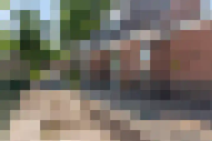 Hoofdweg 75 Bellingwolde thumbnail 12