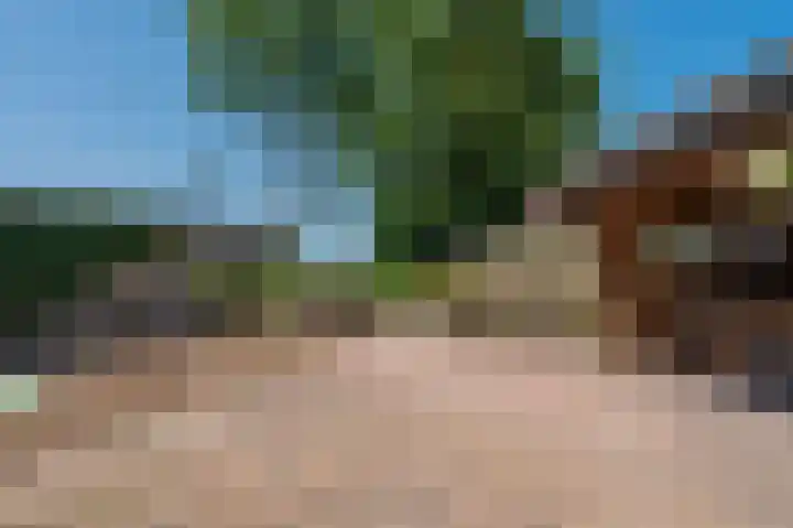 Hoofdweg 75 Bellingwolde thumbnail 20