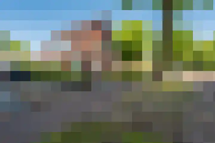 Hoofdweg 75 Bellingwolde thumbnail 4